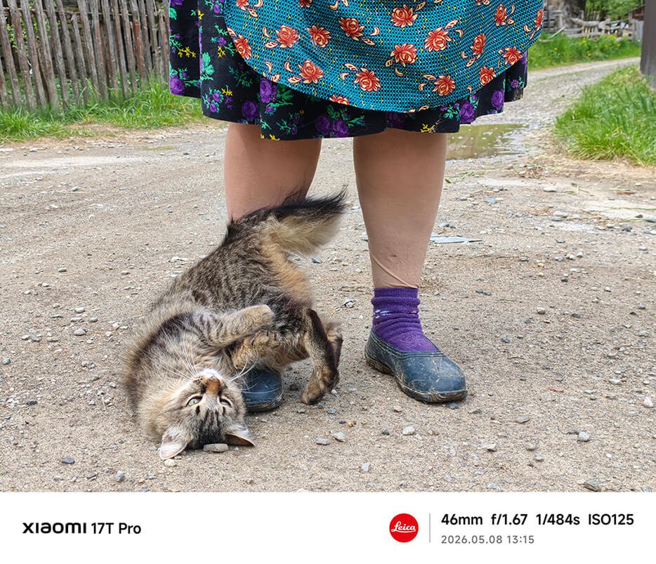 O pisoi se rostogolește lângă picioarele unei femei, care poartă o rochie cu model floral și șosete violet, iar fundalul este o cărare de țară și un gard.