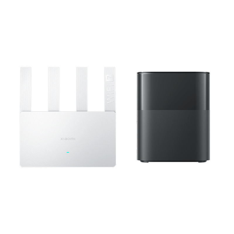 Router & Mesh System