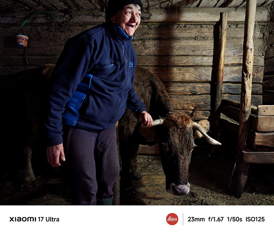 O persoană îmbrăcată într-o jachetă albastră stă în interiorul unei cabane din lemn, ținând ușor de coarnele unei vaci. Mediul înconjurător este format din pereți din lemn și un adăpost simplu, iar pe podea se află niște fân. Lumina este mai slabă, evidențiind contururile persoanei și ale vacii.