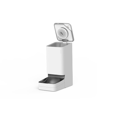 Hilo dental