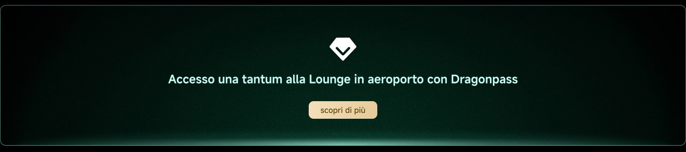 Access to the Lounge at the airport with Dragonpass. Find out more.