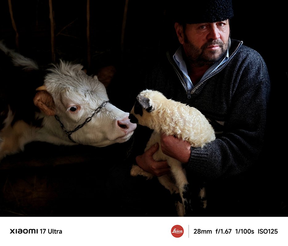 O vacă se apropie de o mie, iar lângă ea este o persoană care îmbrățișează mielul. Mediul este întunecos, evidențiind interacțiunea dintre animale.