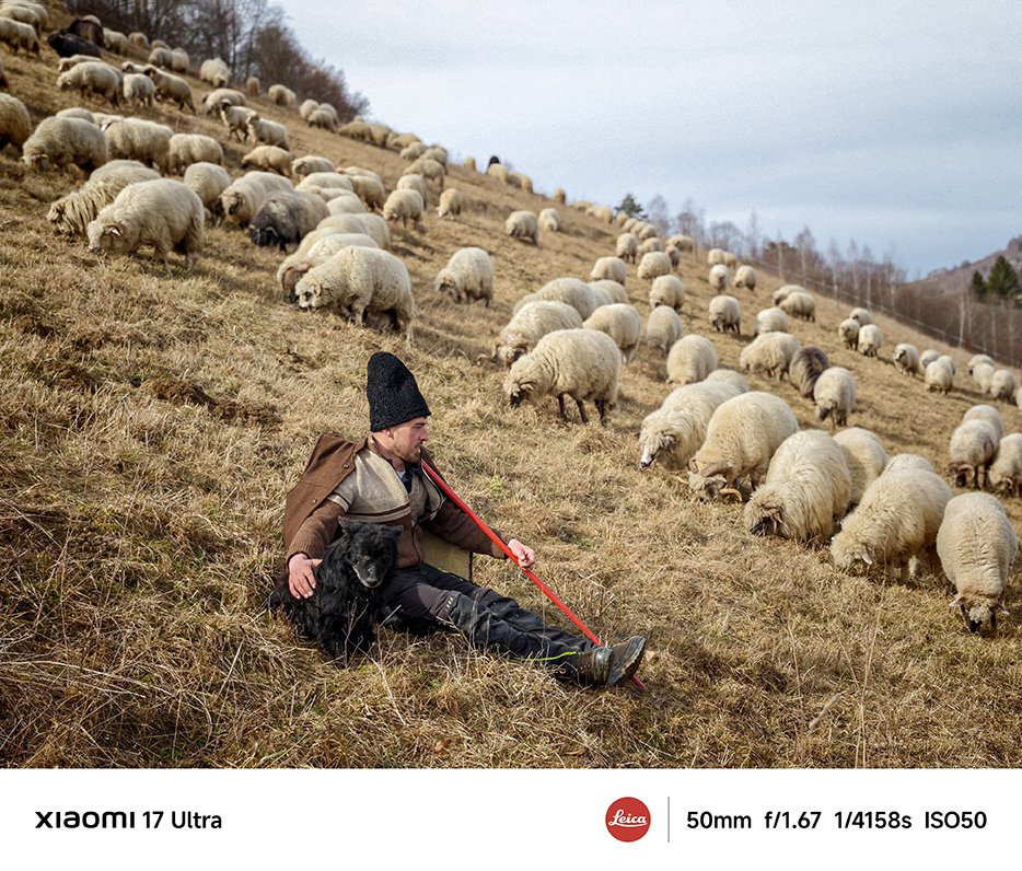 Un păstor stă pe un deal, având lângă el un câine negru, iar în jurul lui se află o turmă de oi care pasc, pe fundal fiind un peisaj natural deschis.