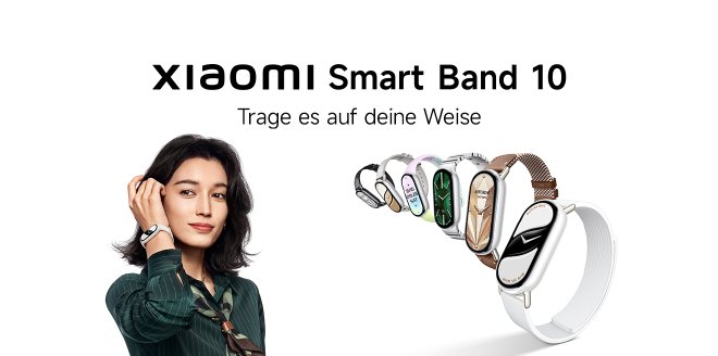 Video Cover Image Ein Band, alle Vibes