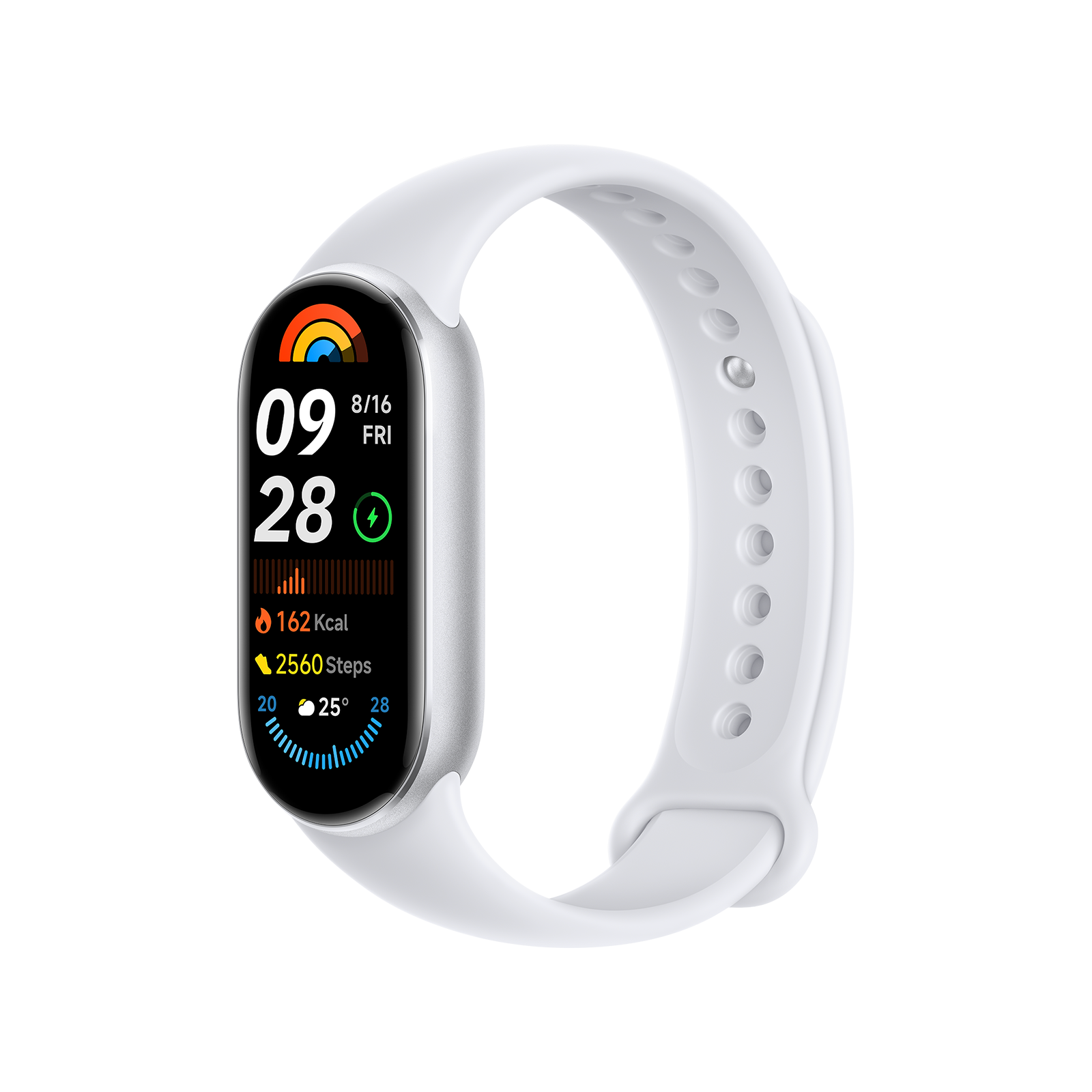 Xiaomi Smart Band 9 Gris