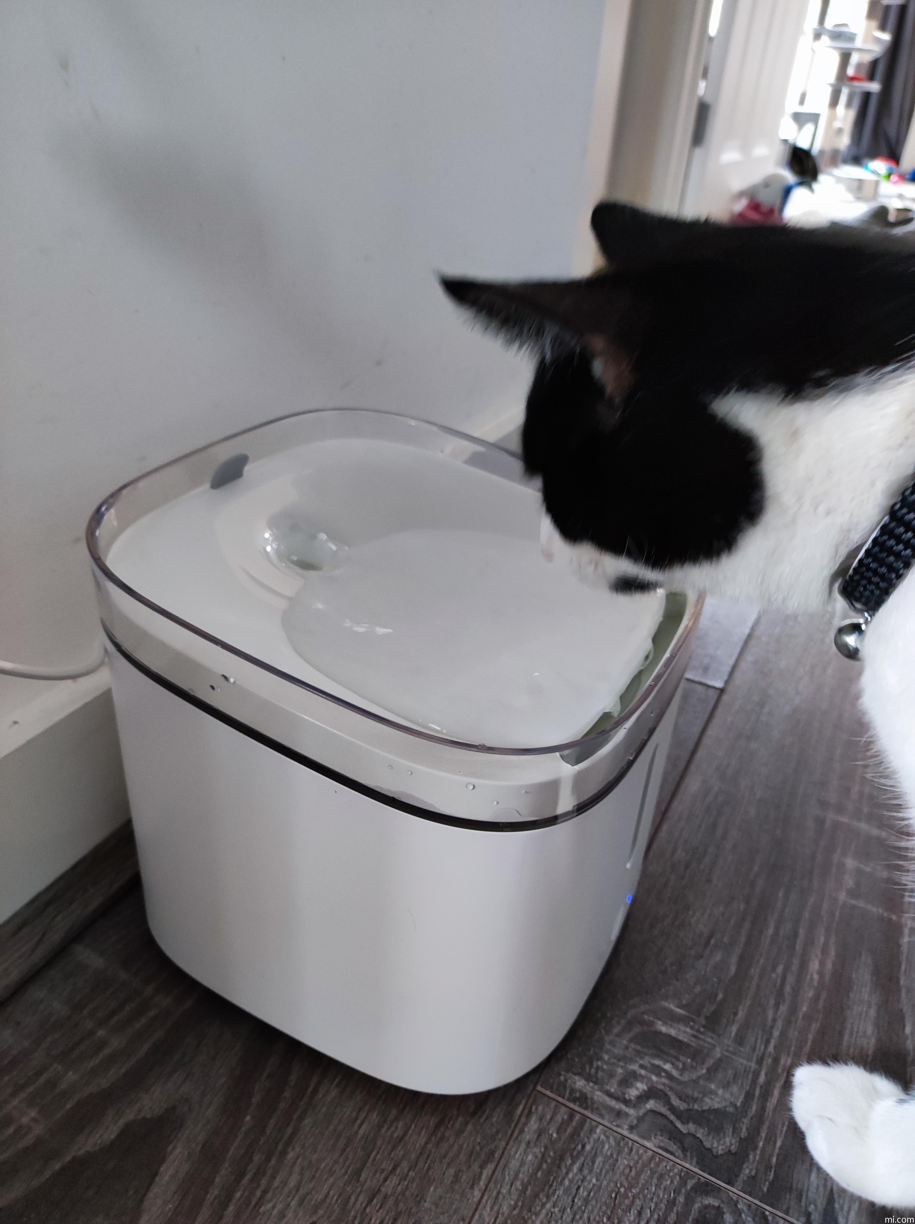 Xiaomi pet hot sale fountain