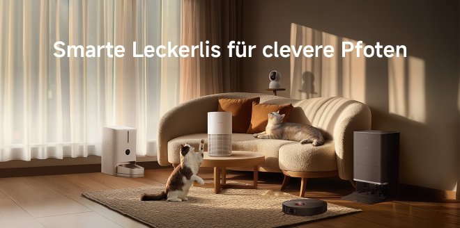 Video Cover Image Feiere mit uns den Internationalen Katzentag!
