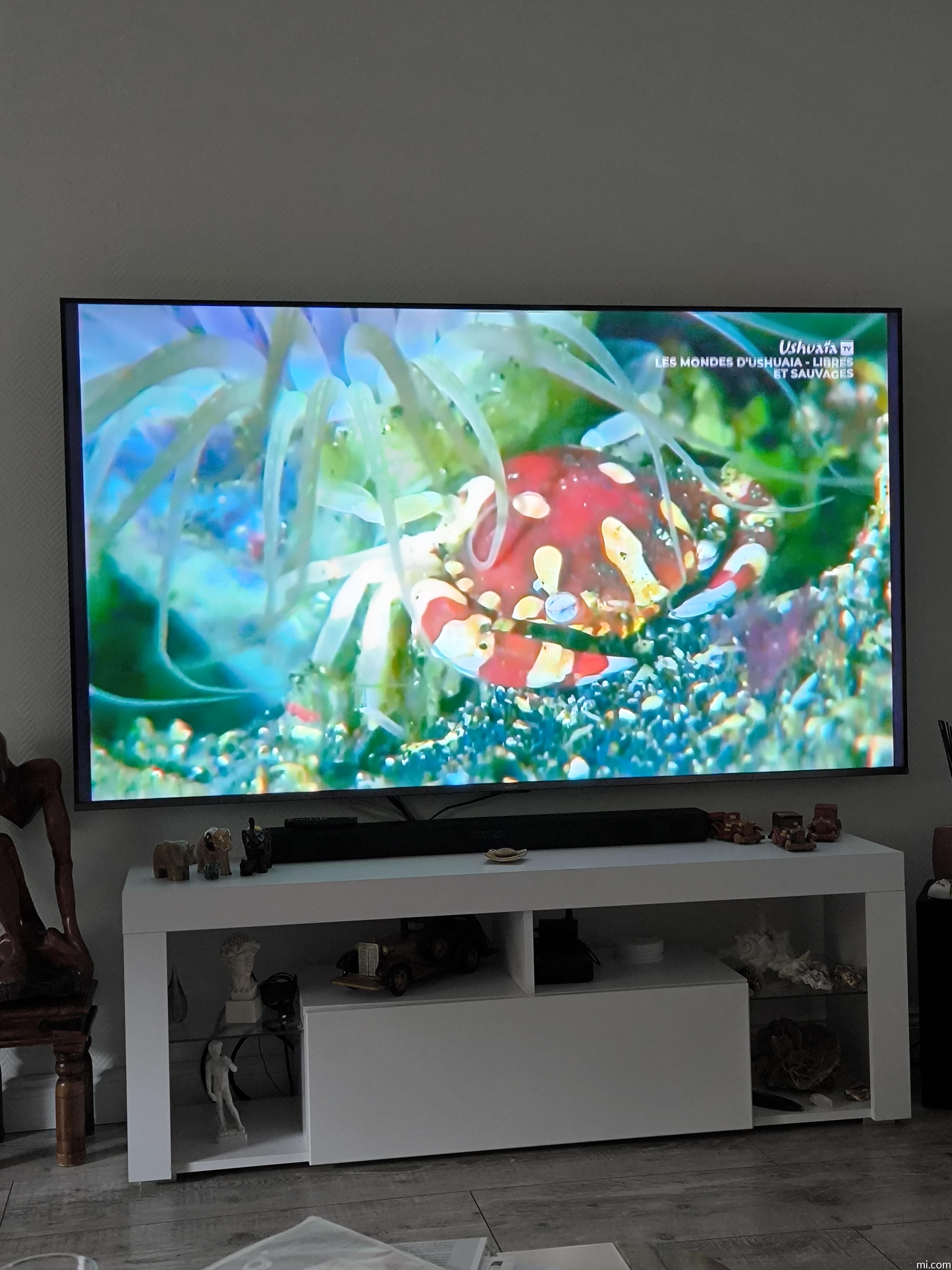 新品未使用】Xiaomi TV A Pro 75 2026年モデル Xiaomi Xiaomi TV A Pro